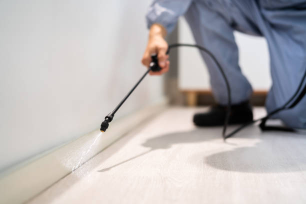 Licensed Pest Control service in Valley City, ND - Show Me Pest Control