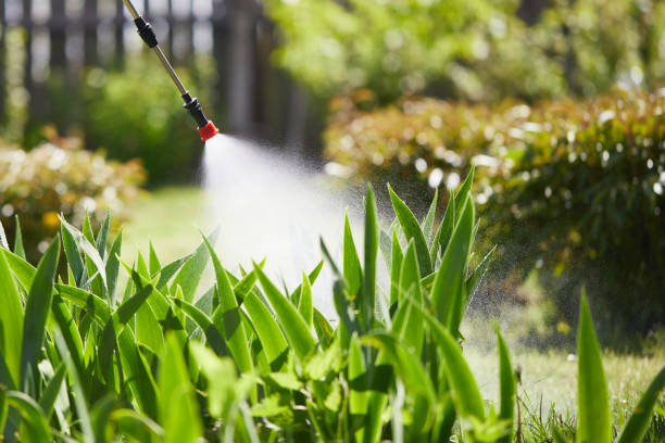 Tamper-Resistant Bait Stations for Rodents in Valley City