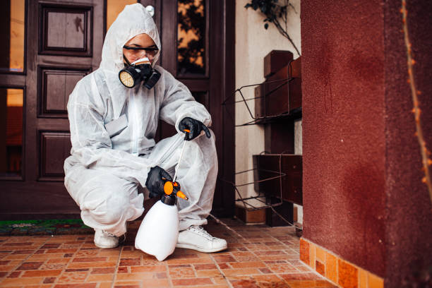 Attic and Crawl Space Rodent Treatment in Valley City