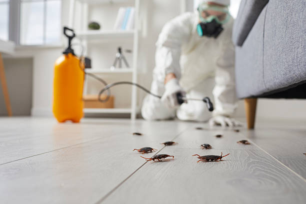 Commercial Rodent Management in Valley City